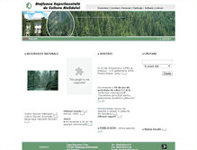 Tablet Screenshot of icassv.ro